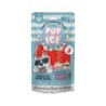 Pup Ice Hunde-Eis Lolly Wassermelone
