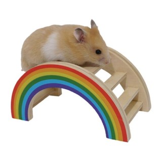 Rosewood Regenbogen-Spielbrücke