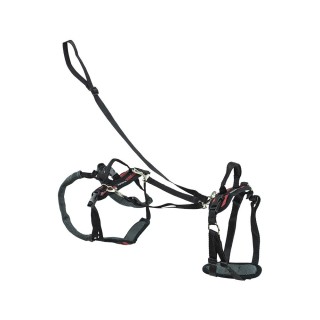 Petsafe Carelift Rear Support Harness - Braun - M