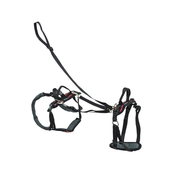 Petsafe Carelift Rear Support Harness - Braun - M