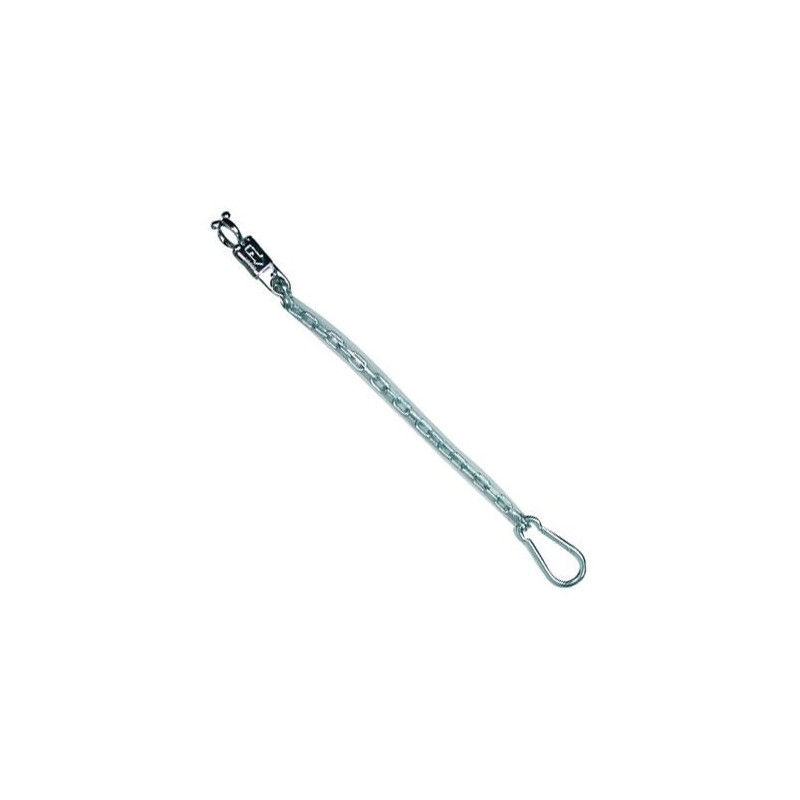 Waldhausen Anbindekette