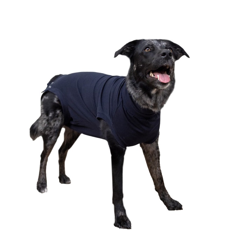 Medizinischer Hundebody - S+