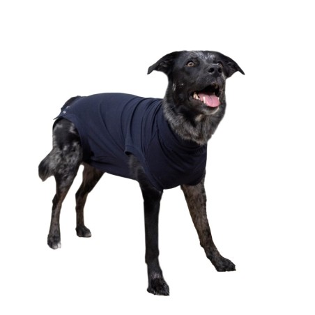 Medizinischer Hundebody - S+