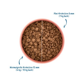 WOW! Hundefutter Mini Senior - Ente mit Minze - 1 kg