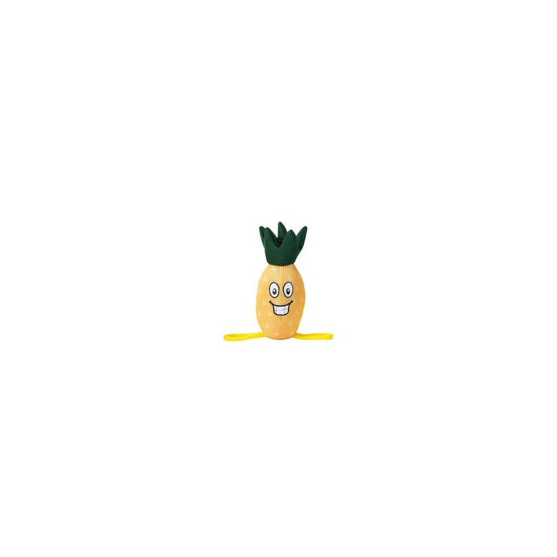 FREEDOG Mesh-Wasserspielzeug Ananas und Melone