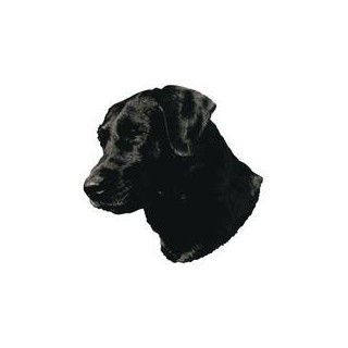 Kleine Aufkleber 4er Packung