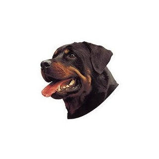 Kleine Aufkleber 4er Packung