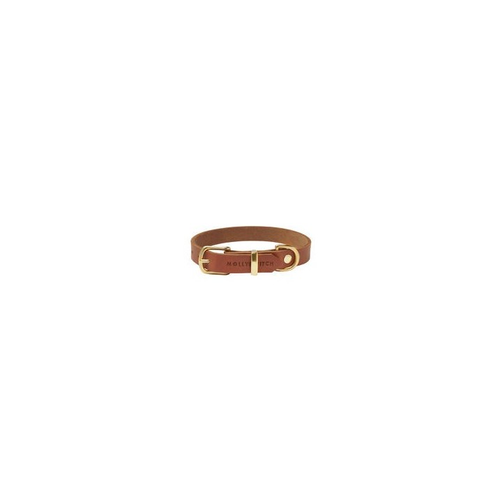 Molly & Stitch Butter Leder Hundehalsband [Sahara Cognac/Gold - S: 28 - 32 cm x 12 mm]
