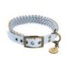 Trendfährte Hundehalsband Paracord