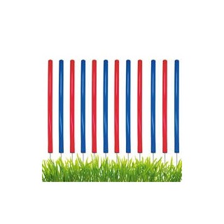 Karlie - Procyon Agility - Slalom