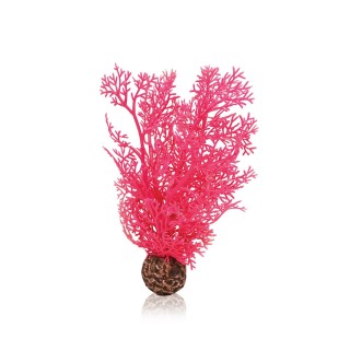 biOrb Hornkoralle S pink