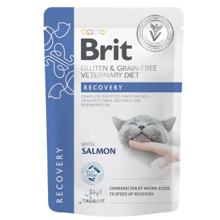 Brit Vet Diet Cat Fillets in Gravy Recovery 12x85 g