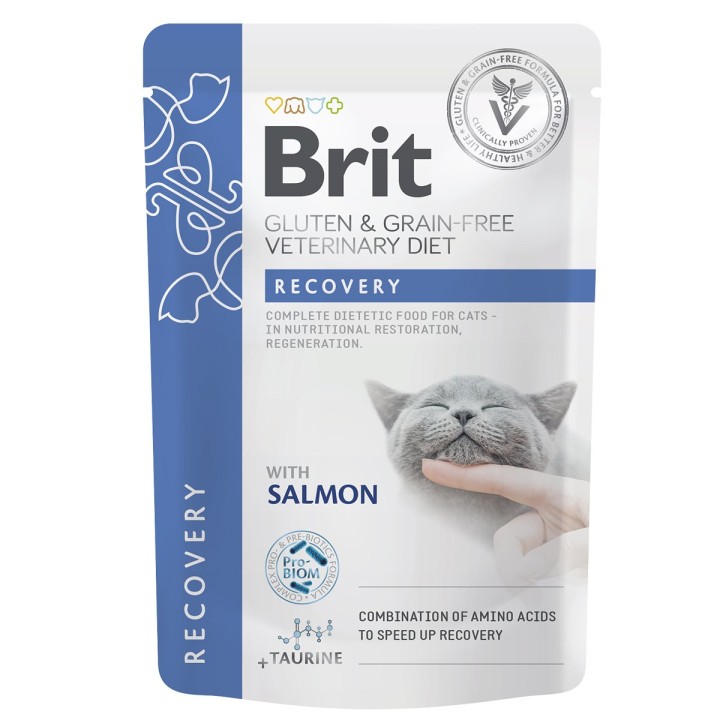 Brit Vet Diet Cat Fillets in Gravy Recovery 12x85 g