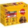 Pedigree Senior Gemischte Selektion in Gelee 24x100 g