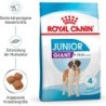 Royal Canin Giant Junior - 15 kg