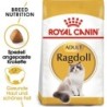 Royal Canin Ragdoll Adult - 10 kg