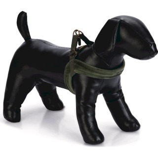 Designed by Lotte Hundegeschirr Velura Grün - M