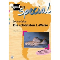 Animalbook Loricariidae "Die Schönsten L-Welse" - 1 Stk
