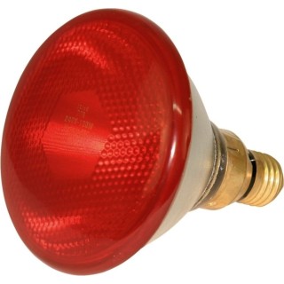 Kerbl Sparlampe PAR38 rot - 100 Watt
