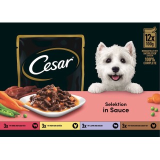 Cesar Multipack 12x100g Pouch Selektion in Sauce - 1.200 g