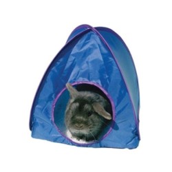 Rosewood Pop-up Kaninchenzelt