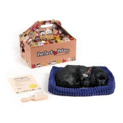 Perfect Petzzz Soft schwarzer Labrador