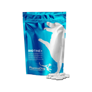 PharmaDog Biotine - 90 Kapseln