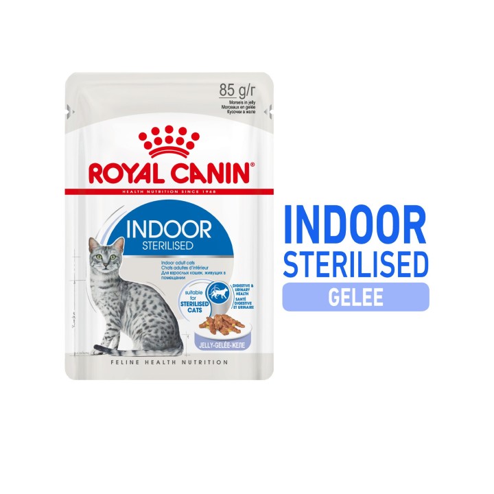 Royal Canin Sterilised Indoor in Jelly Katzenfutter - Frischebeutel - 12 x 85 g