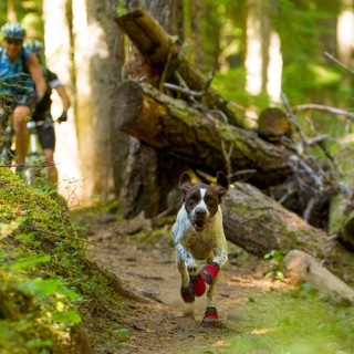 Ruffwear Grip Trex Boots - XXXXS - Obsidian Black - 2er Set