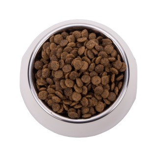 Vetality Urinary Adult Katzenfutter - 2kg