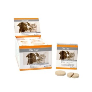 Dia Tab - 60 Kautabletten á 5 g