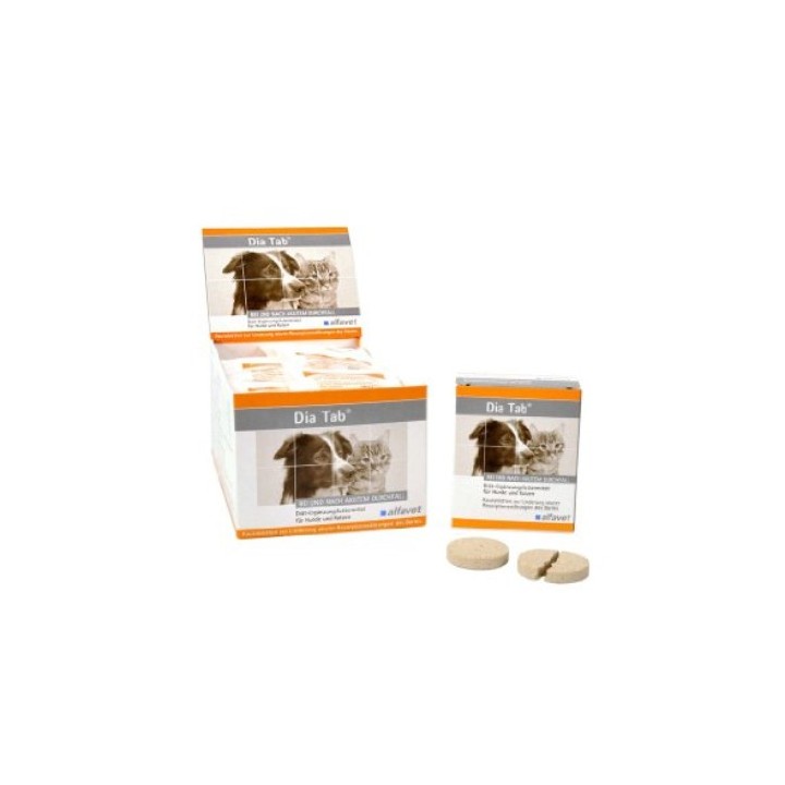 Dia Tab - 60 Kautabletten á 5 g