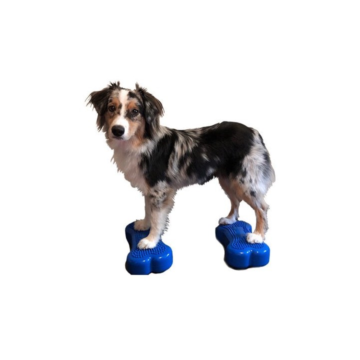 FitPAWS Bone Minis - 2er Set - Blau