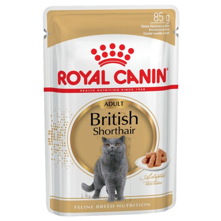 Royal Canin British Shorthair Adult in Soße - 12 x 85 g