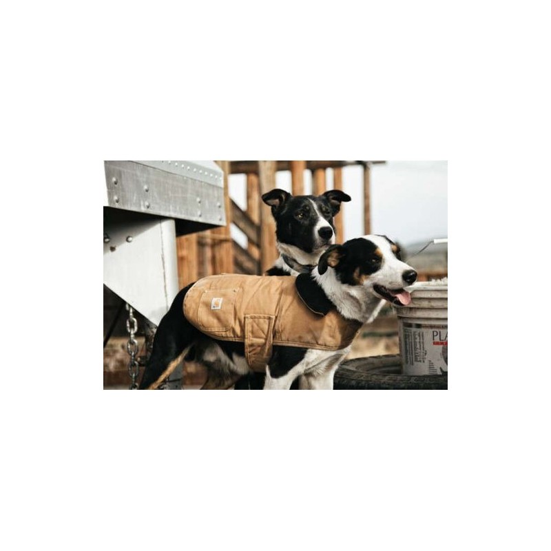 Carhartt Dog Chore Coat - Braun - S
