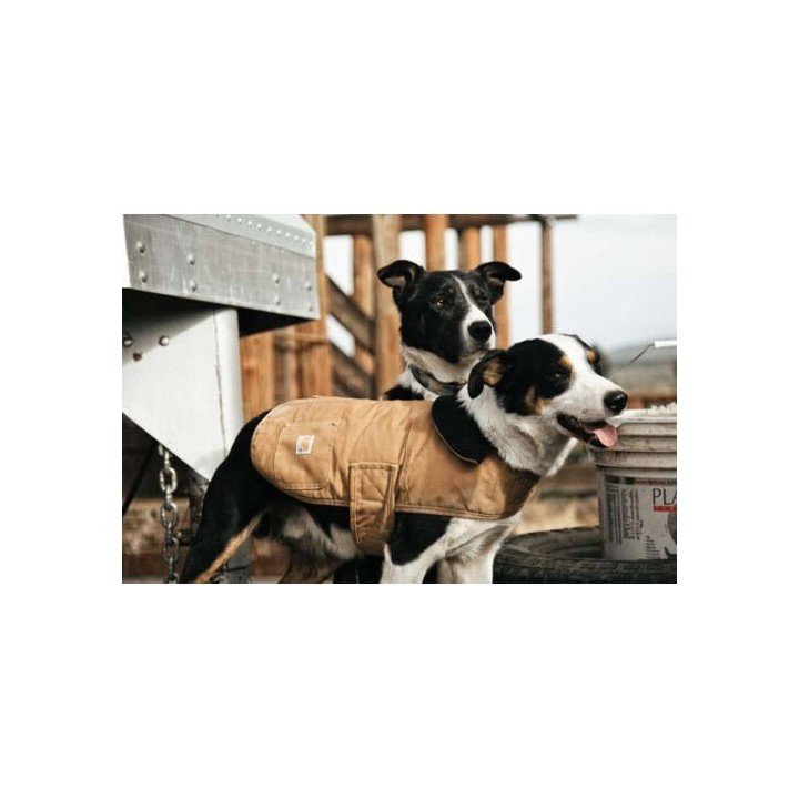 Carhartt Dog Chore Coat - Braun - S