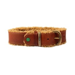 DWAM Halsband Teddy - XXS (2 cm)