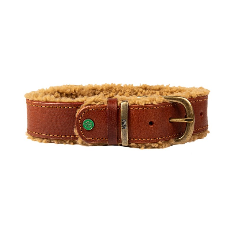 DWAM Halsband Teddy - XXS (2 cm)