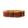 DWAM Halsband Teddy - XXS (2 cm)