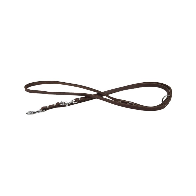 Beeztees Hundeleine Leder - Braun - 200 x 12 cm