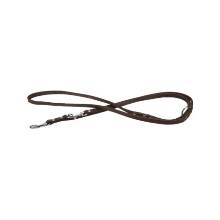 Beeztees Hundeleine Leder - Braun - 200 x 12 cm