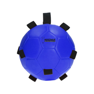 Maximus Fun Play Ball - Blau