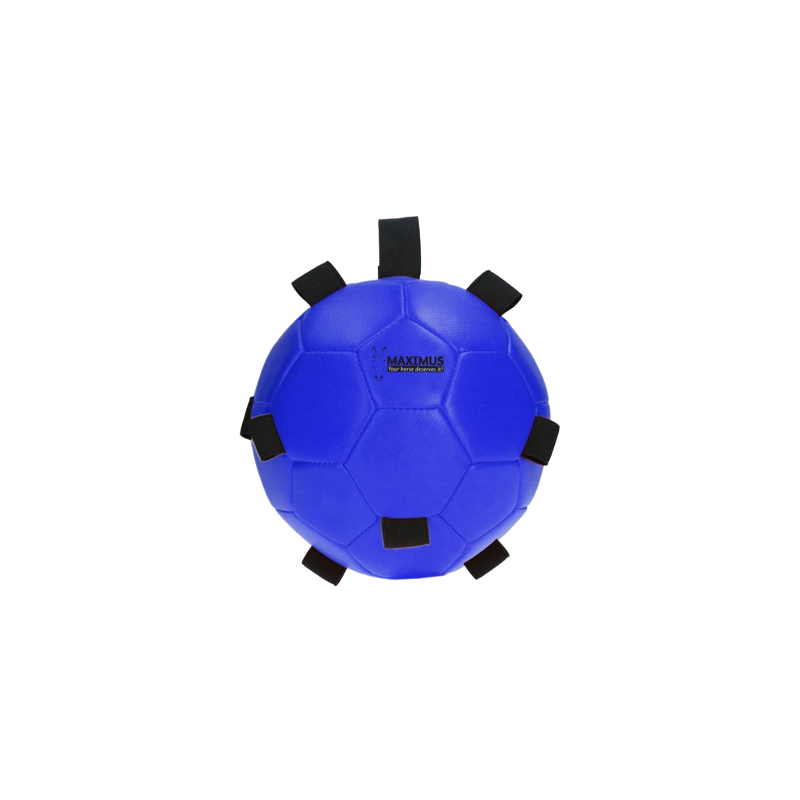Maximus Fun Play Ball - Blau