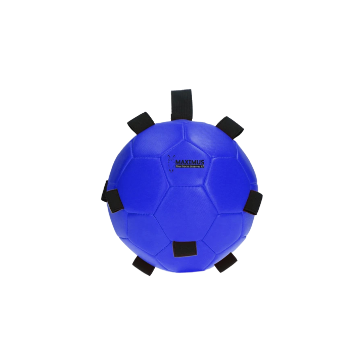 Maximus Fun Play Ball - Blau