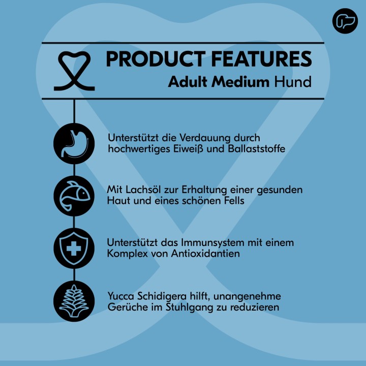 Vetality Adult Medium Dog - 3 kg