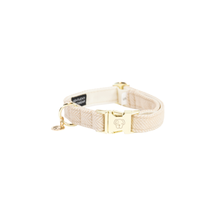 Kentucky Dogwear Hundehalsband - Wool - Beige - XS - 25-38 cm