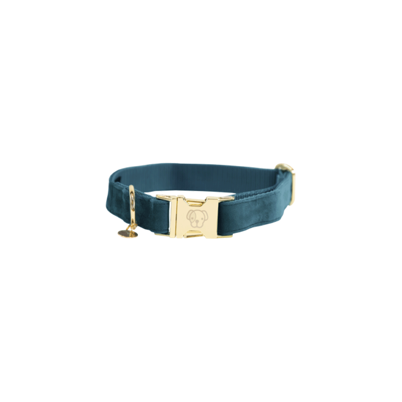 Kentucky Dogwear - Velvet - M - Smaragd
