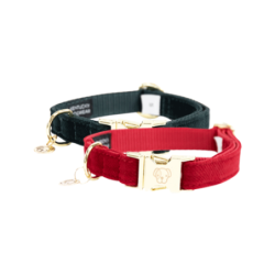 Kentucky Dogwear - Corduroy - S - 28-40 cm - Kieferngrün