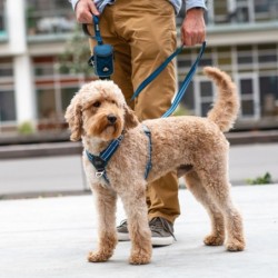 DOG Copenhagen Comfort Walk Air Geschirr Wild Rose XS