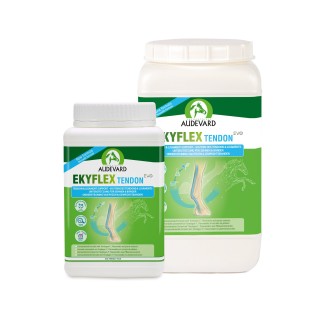 Audevard Ekyflex Tendon EVO - 900 g